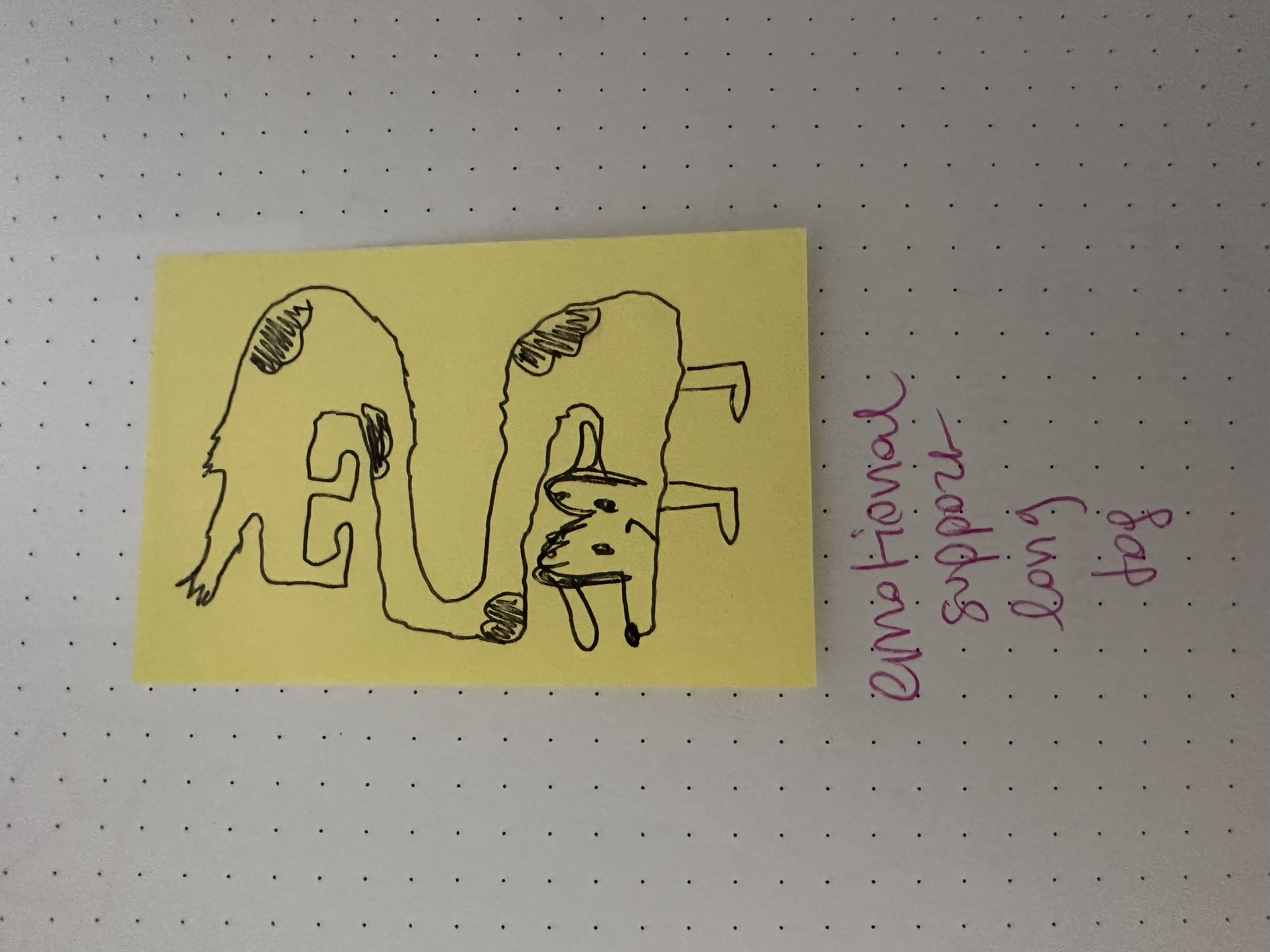 Sick days & long dogs